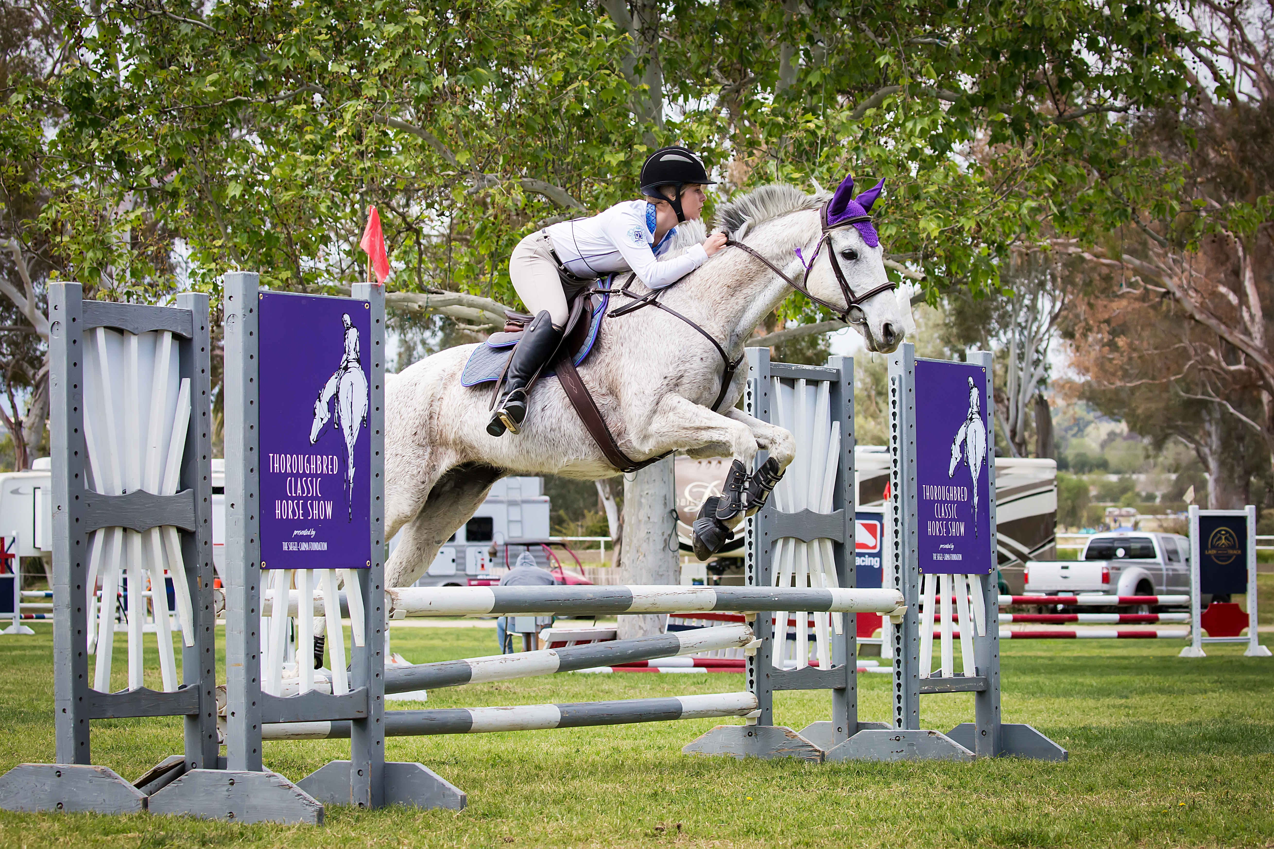 Eligibility  Thoroughbred Classic Horse Show